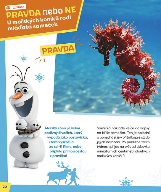 Ledové království – Olaf se ptá PRAVDA nebo NE?