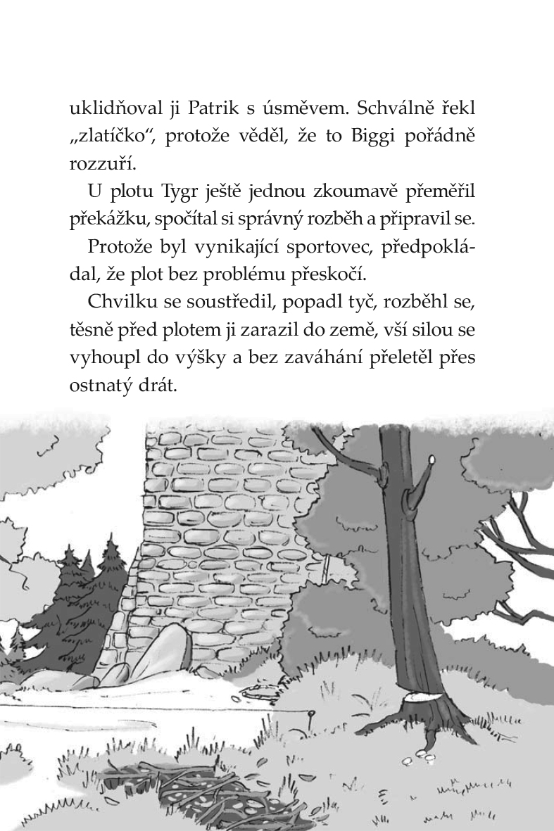 Klub Tygrů - Tajemná přilba