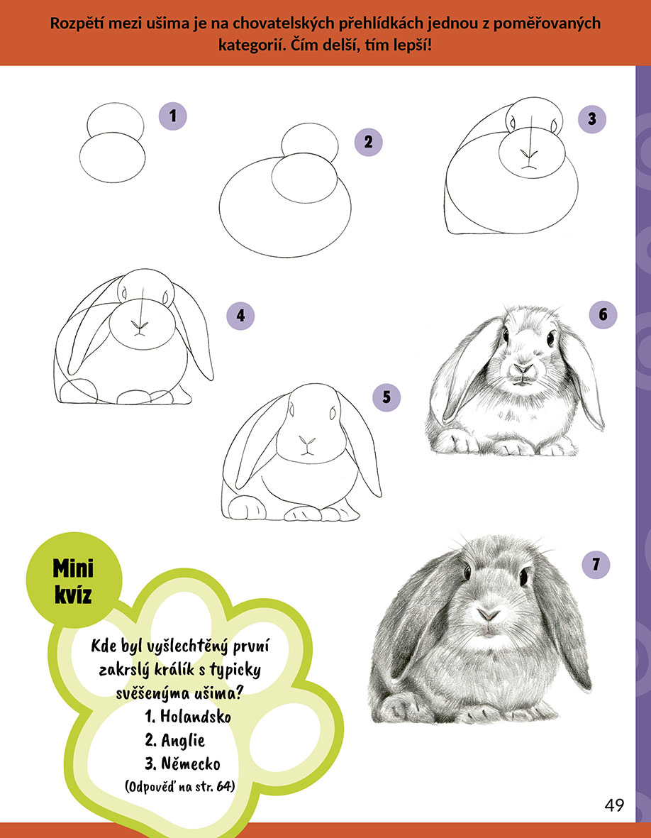 Jak kreslit domácí mazlíčky
