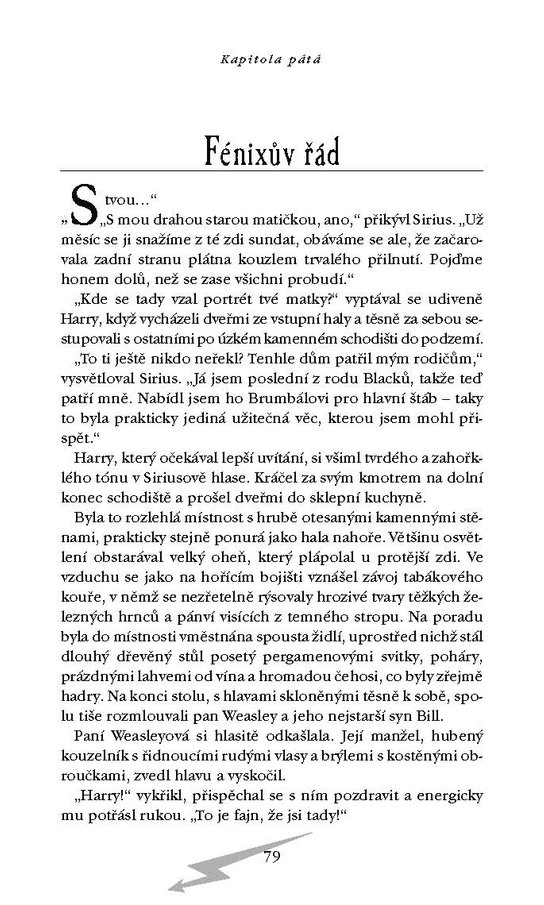Harry Potter a Fénixův řád