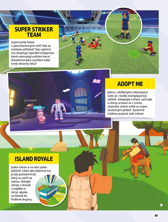 Roblox 100% neoficiální - Knížka na celý rok
