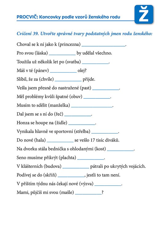 Poznej a procvič: Koncovky podstatných jmen