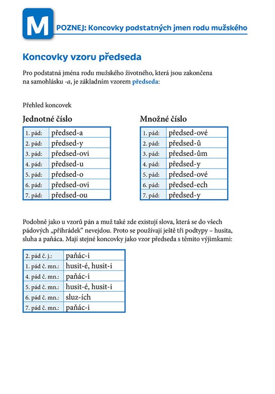 Poznej a procvič: Koncovky podstatných jmen
