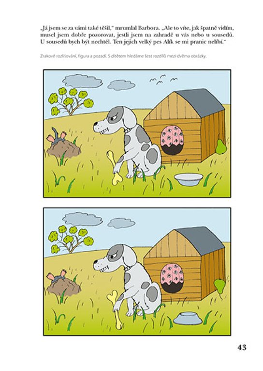 Rozvoj zrakového vnímání 
