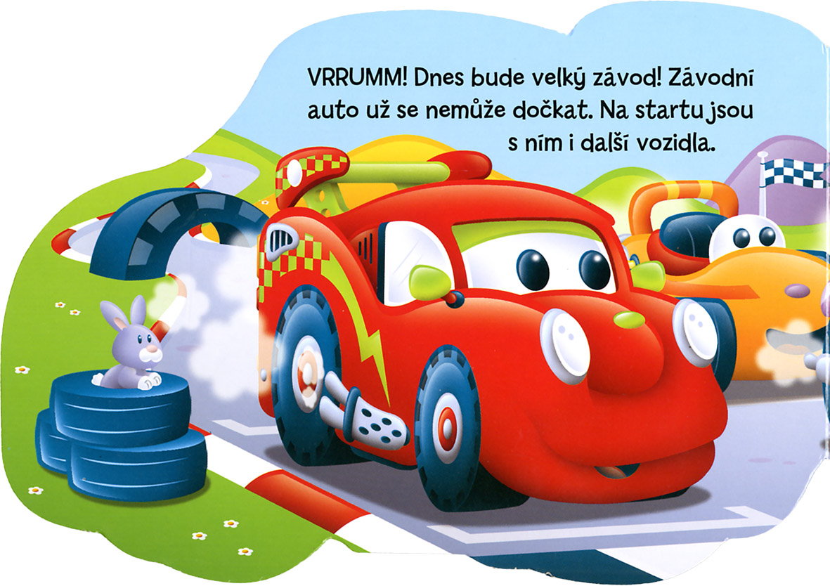 Závodní auto