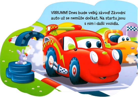 Závodní auto