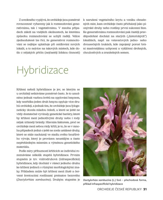 Orchideje České republiky