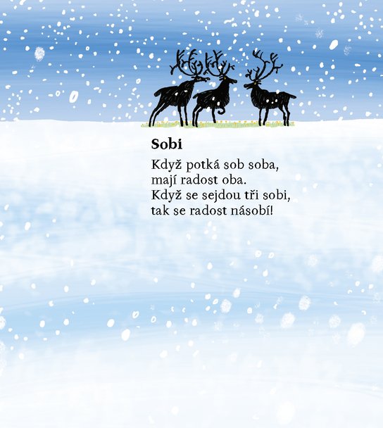 Sloni a jiní oni