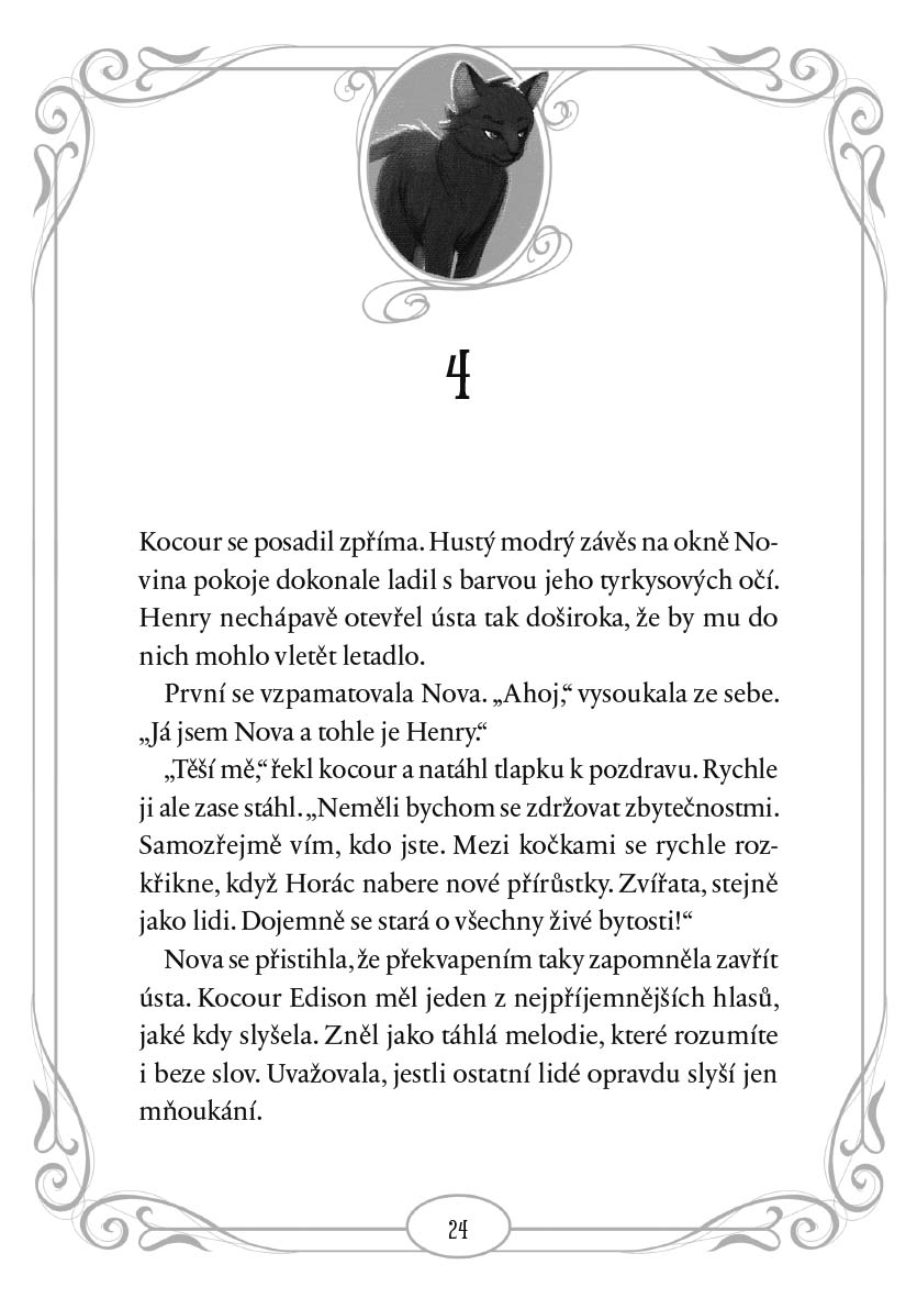 Půlnoční kočky - Únos kočičí královny