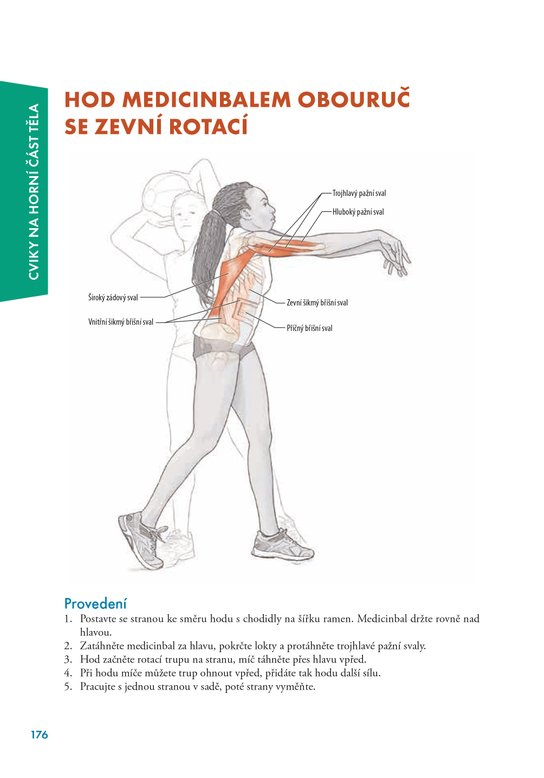 Trénink výbušné síly - anatomie 
