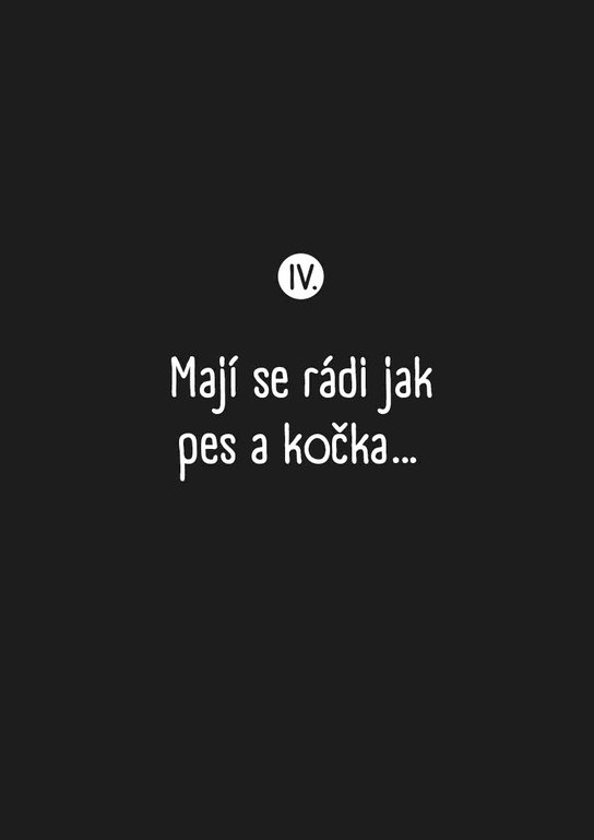 O kočkách a kocourech