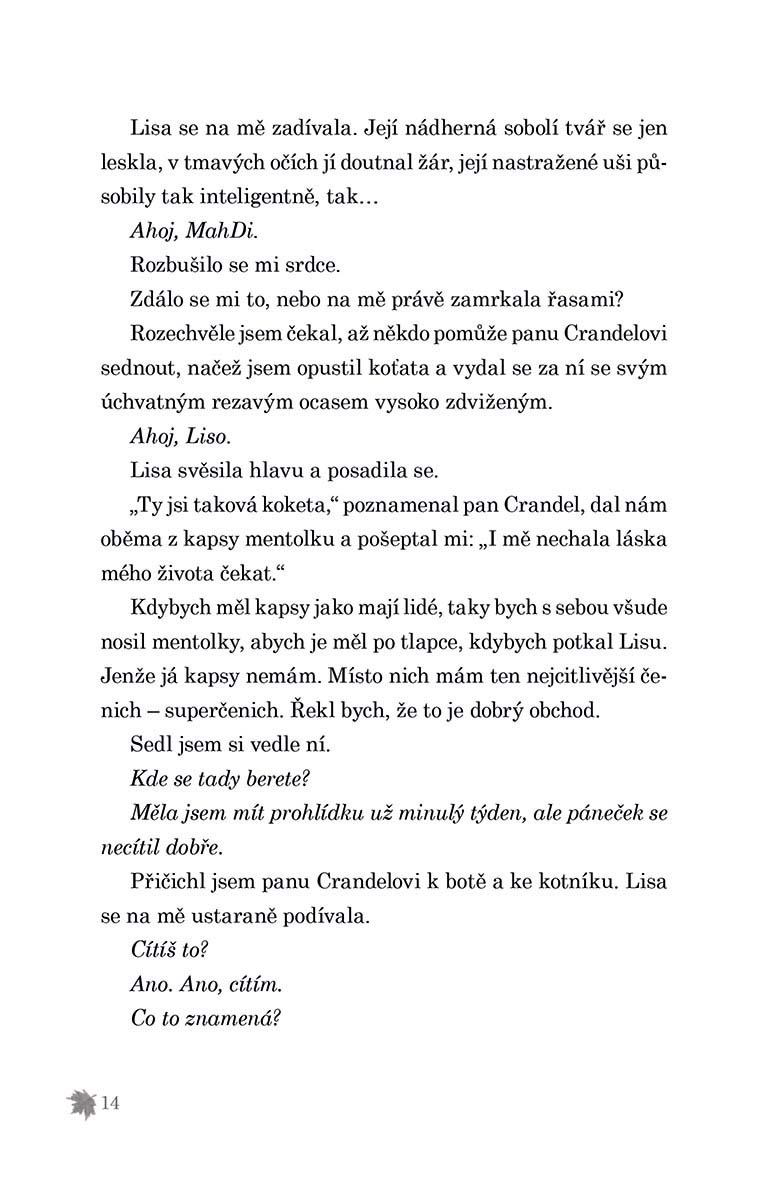 Půlnoc v útulku