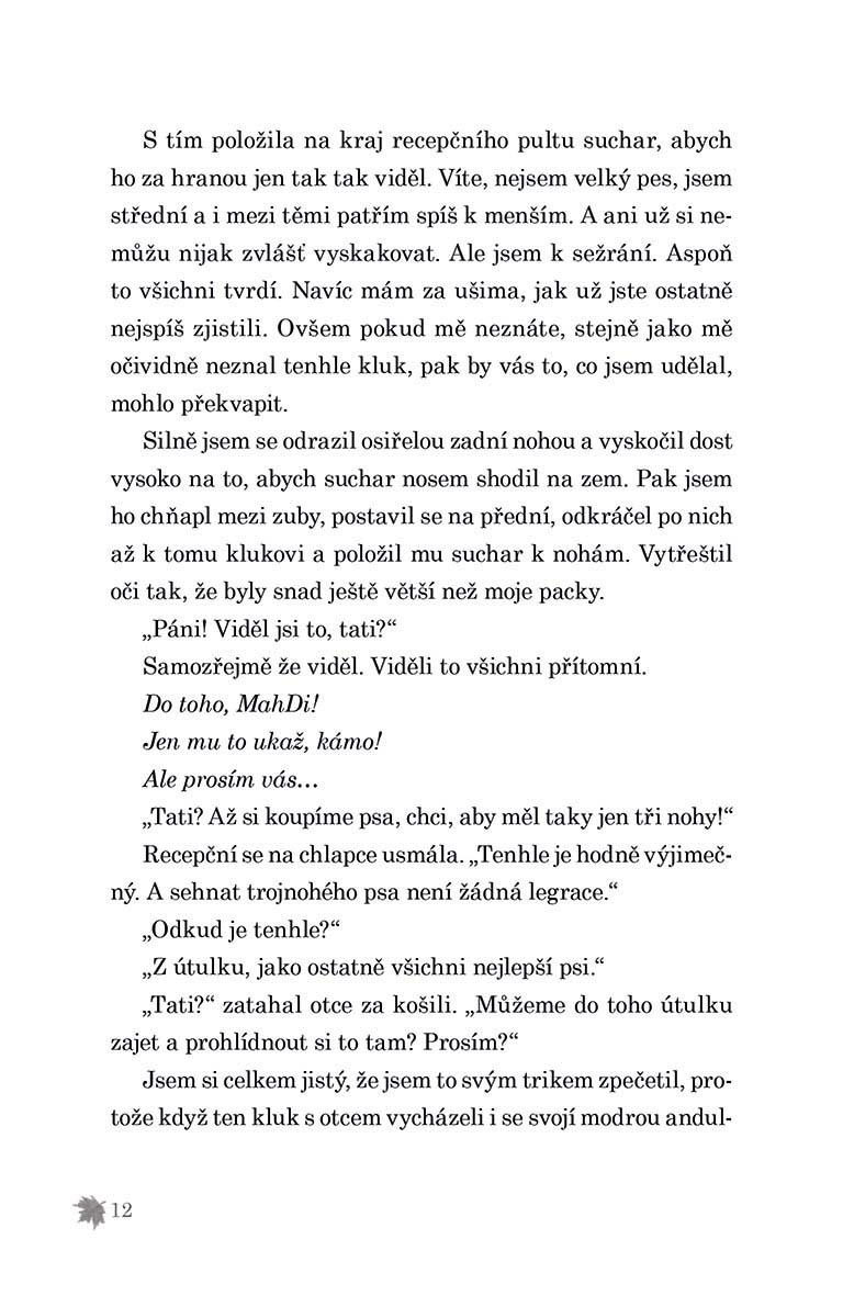 Půlnoc v útulku