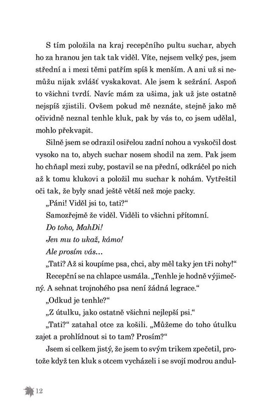 Půlnoc v útulku