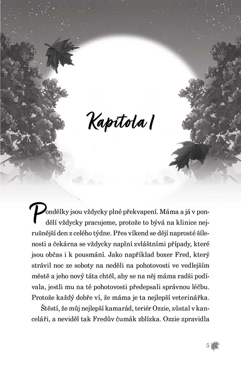 Půlnoc v útulku