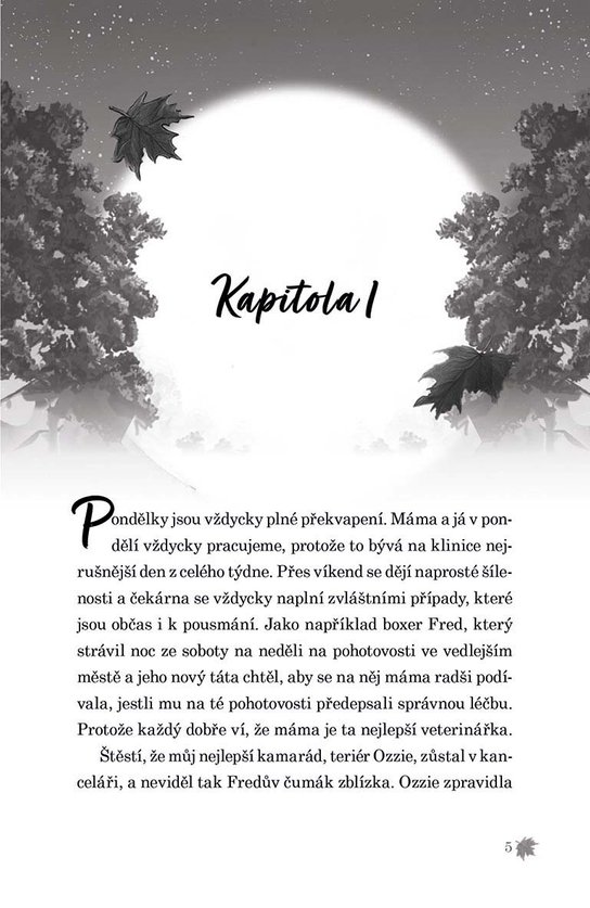Půlnoc v útulku