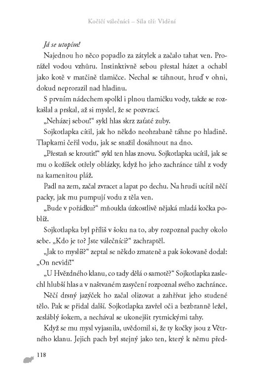 Kočičí válečníci: Síla tří (1) – Vidění