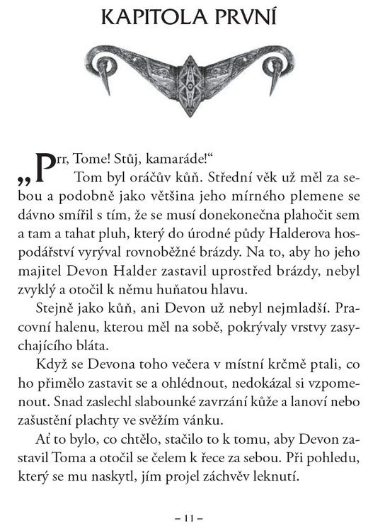 Bratrstvo - Kniha pátá - Hora štírů