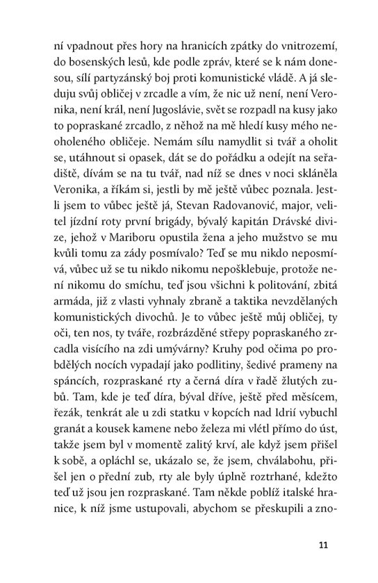 Dnes v noci jsem ji viděl