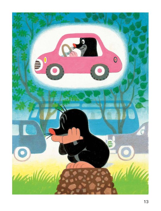 Little Mole and His Little Car