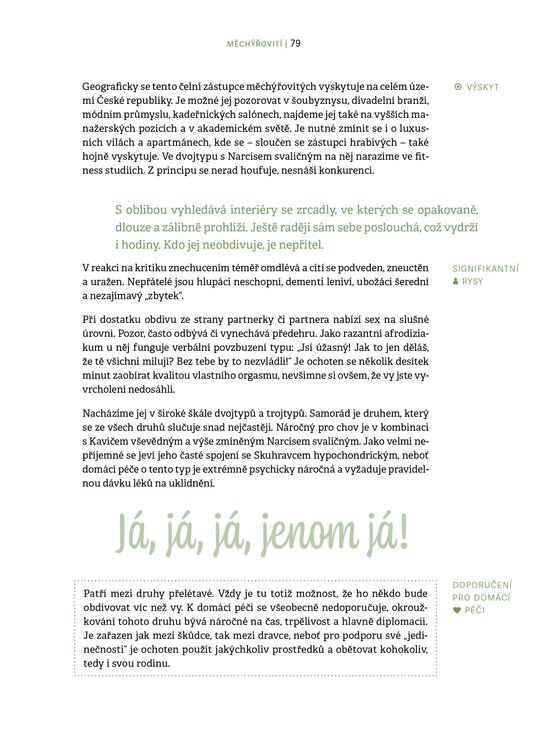 Experimentální atlas mužů