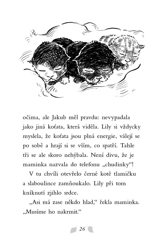 Příběhy se šťastným koncem - Našlo se koťátko!