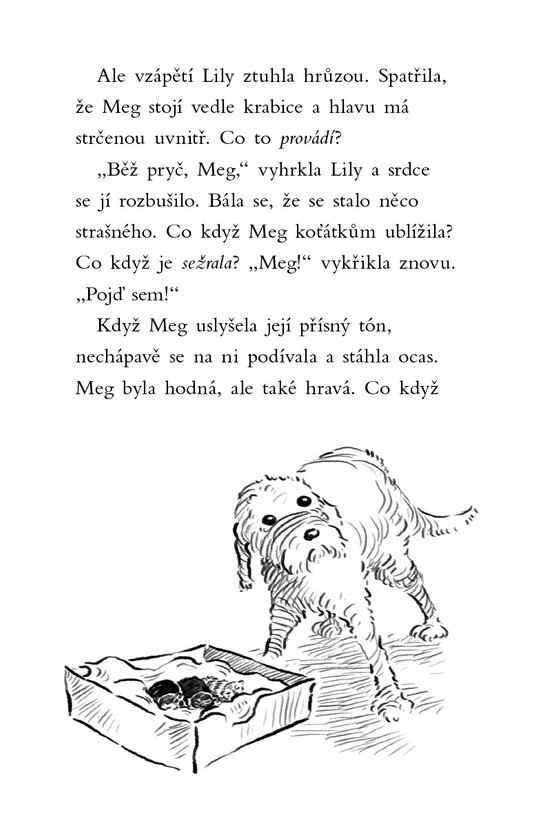 Příběhy se šťastným koncem - Našlo se koťátko!