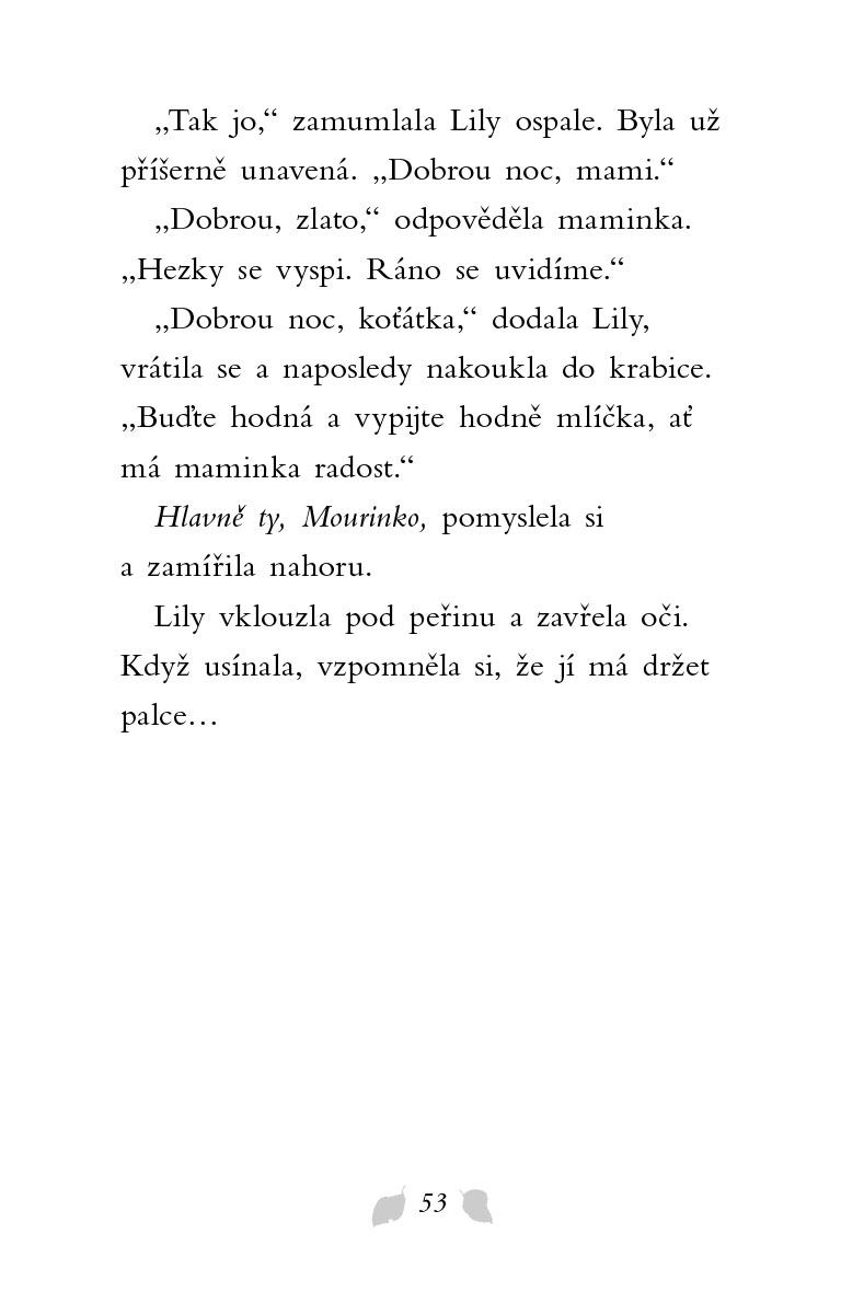 Příběhy se šťastným koncem - Našlo se koťátko!