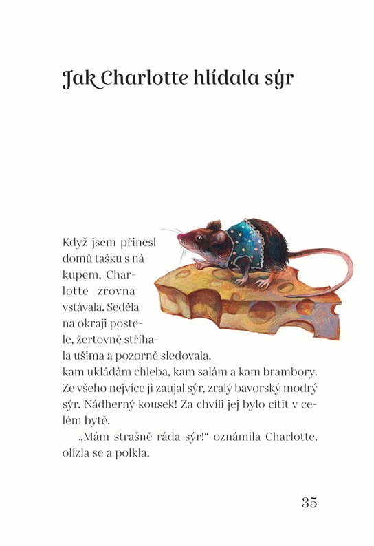 Myší knížka
