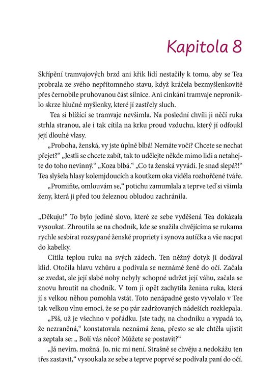 Pod maskou stín