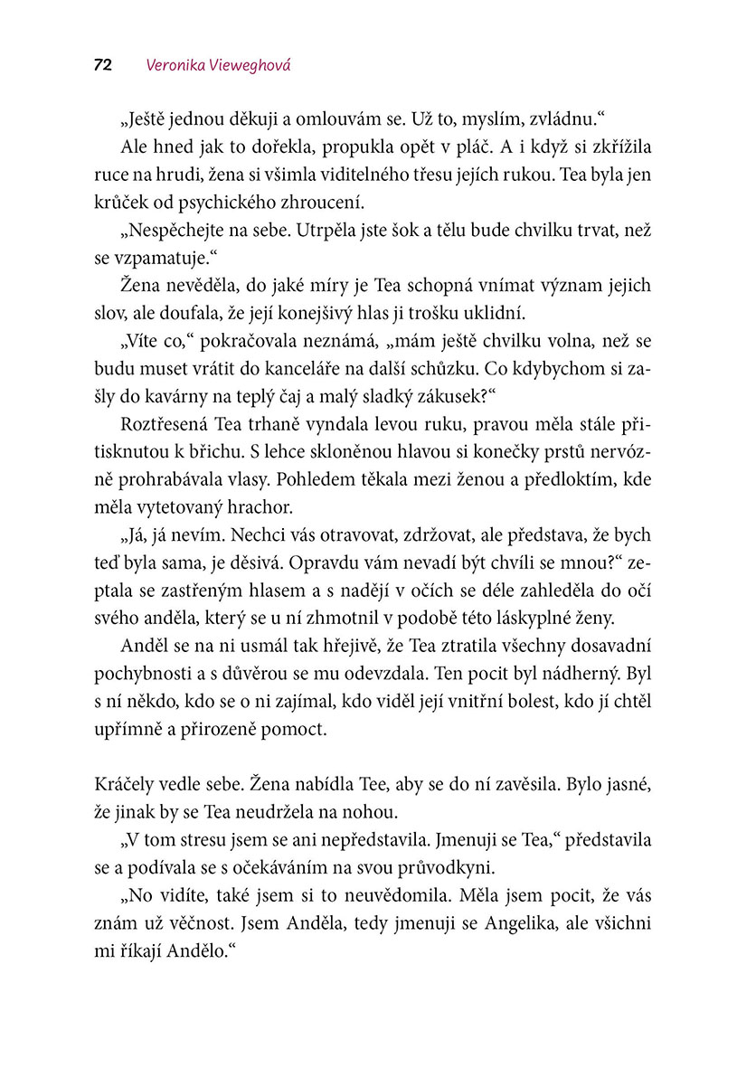 Pod maskou stín