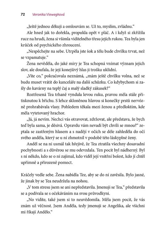 Pod maskou stín
