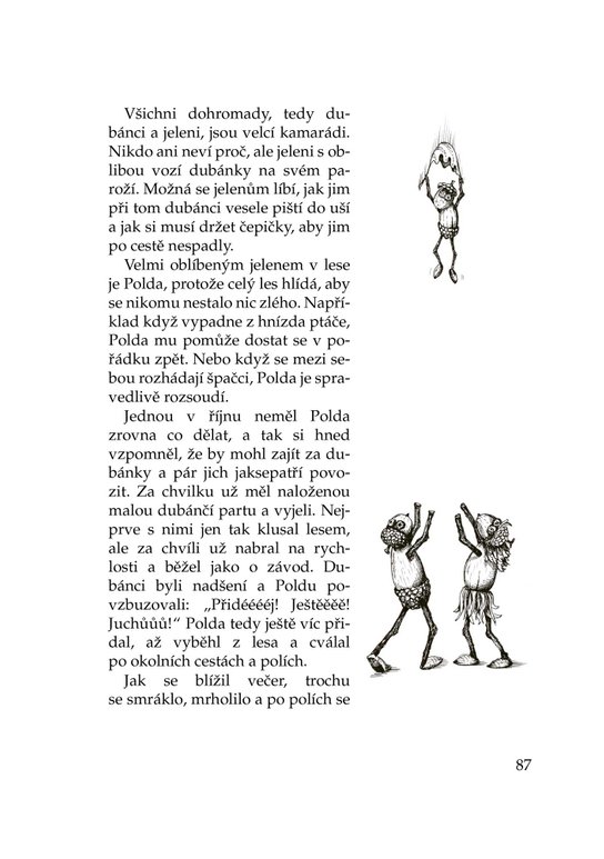 Dubánci - příběhy jednoho roku 