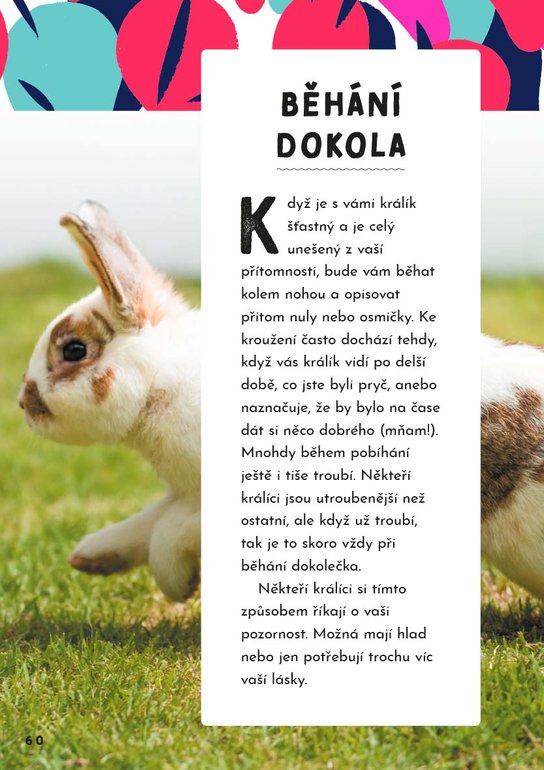 Jak mluvit se zvířaty