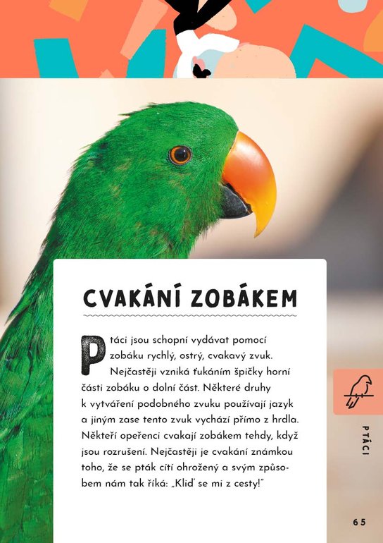 Jak mluvit se zvířaty