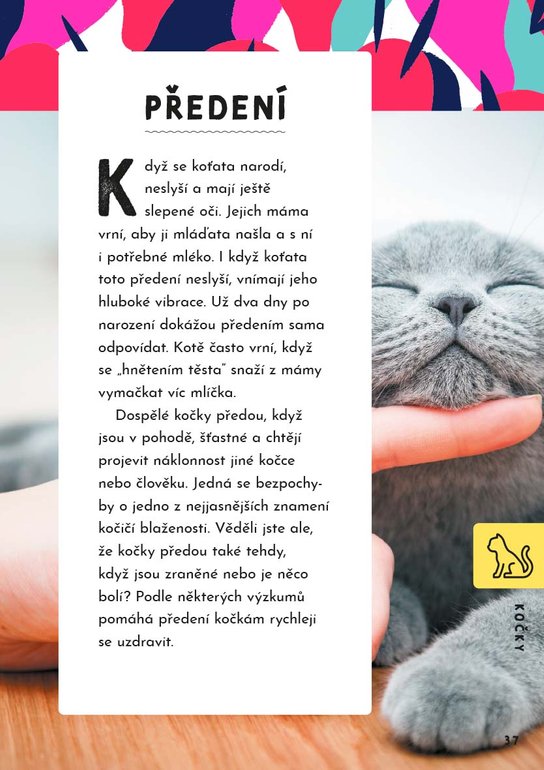 Jak mluvit se zvířaty