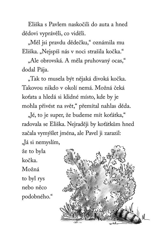 Nové příběhy se šťastným koncem – Nezbedný mýval