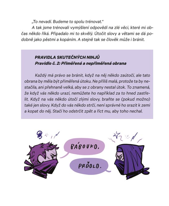 Pravidla skutečných ninjů