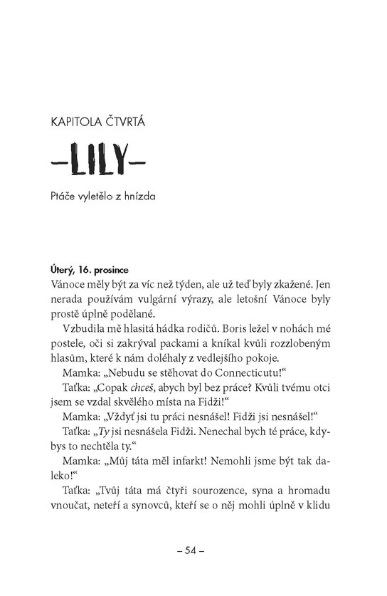 Dvanáct dní Dashe & Lily