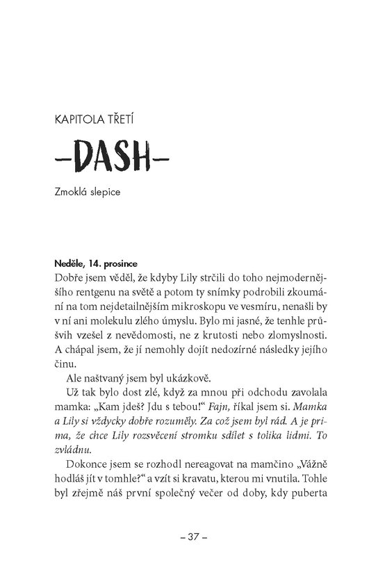 Dvanáct dní Dashe & Lily