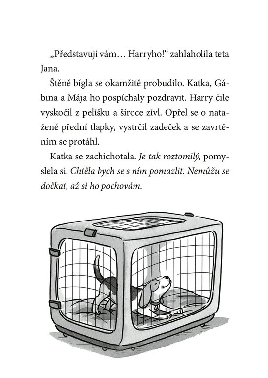 Ať žijí štěňata: Chyťte Harryho!