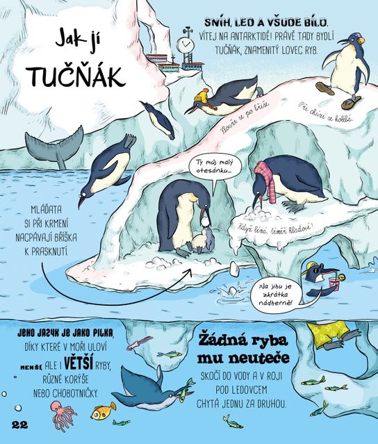 Jak zvířata jedí