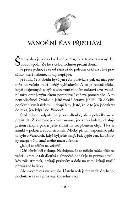 Dobrodružství začíná pod hvězdami