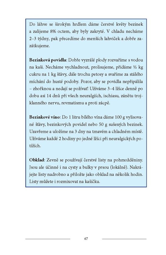 Bylinky naší prabáby