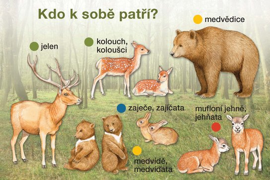 Kdo k sobě patří