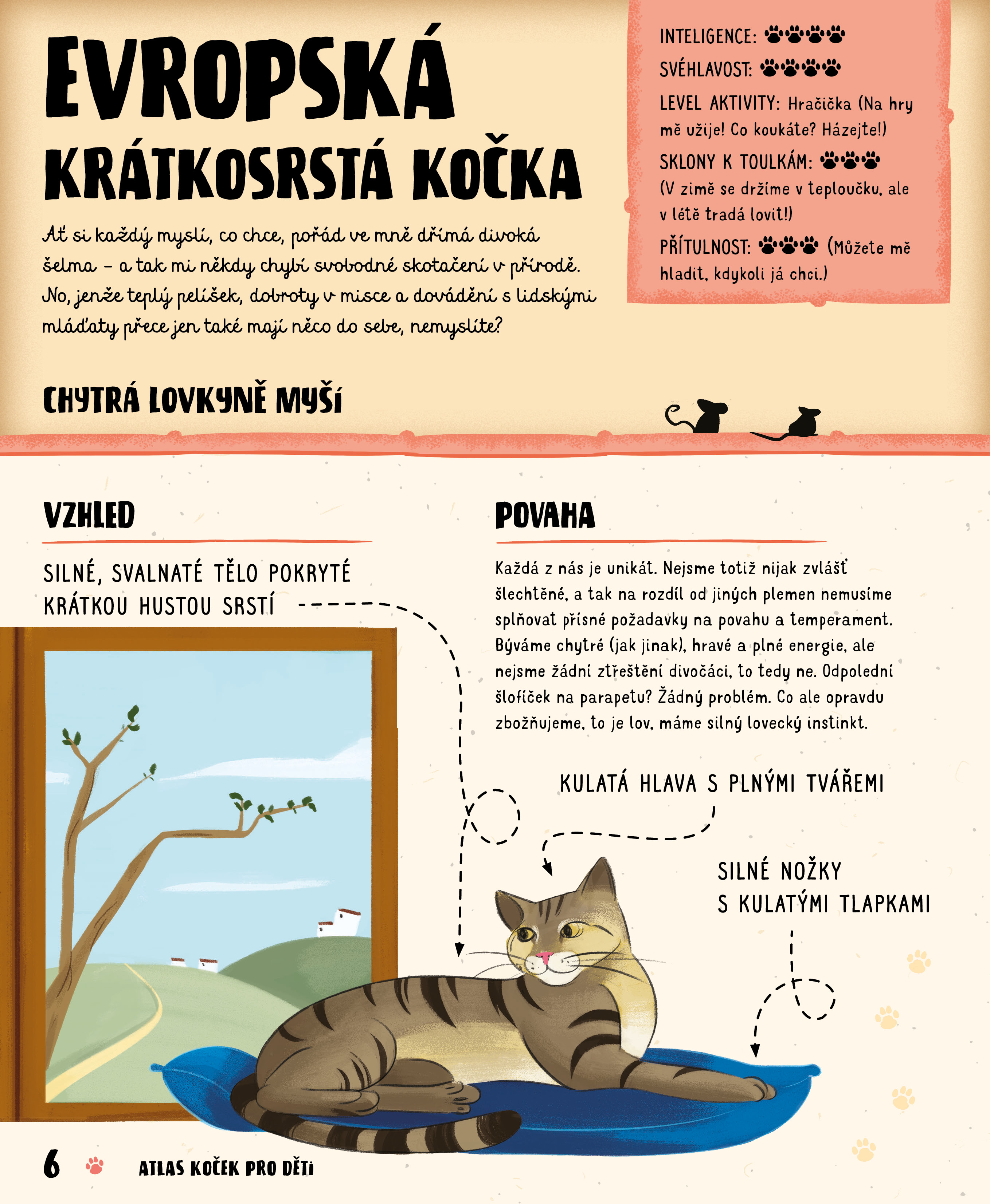 Atlas koček pro děti