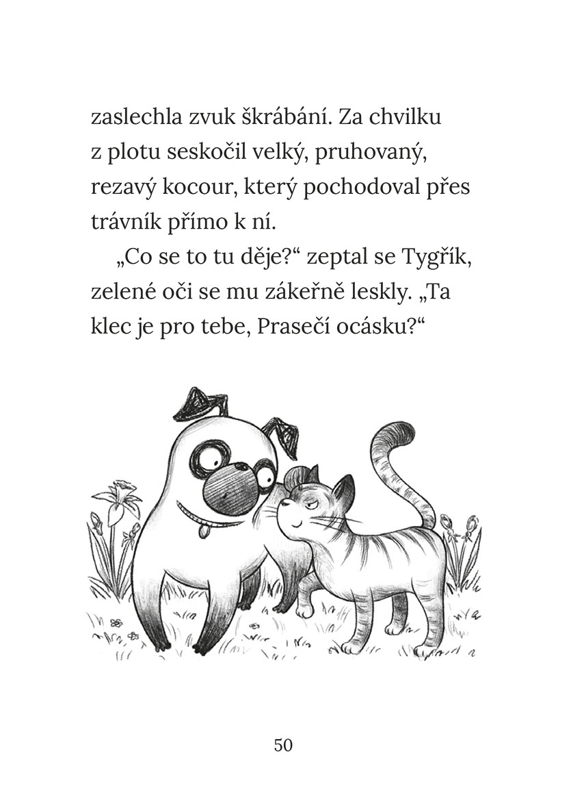 Mops králíčkem