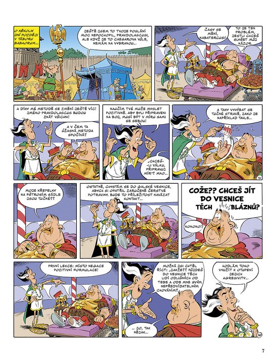 Asterix 40 - Bílý kosatec