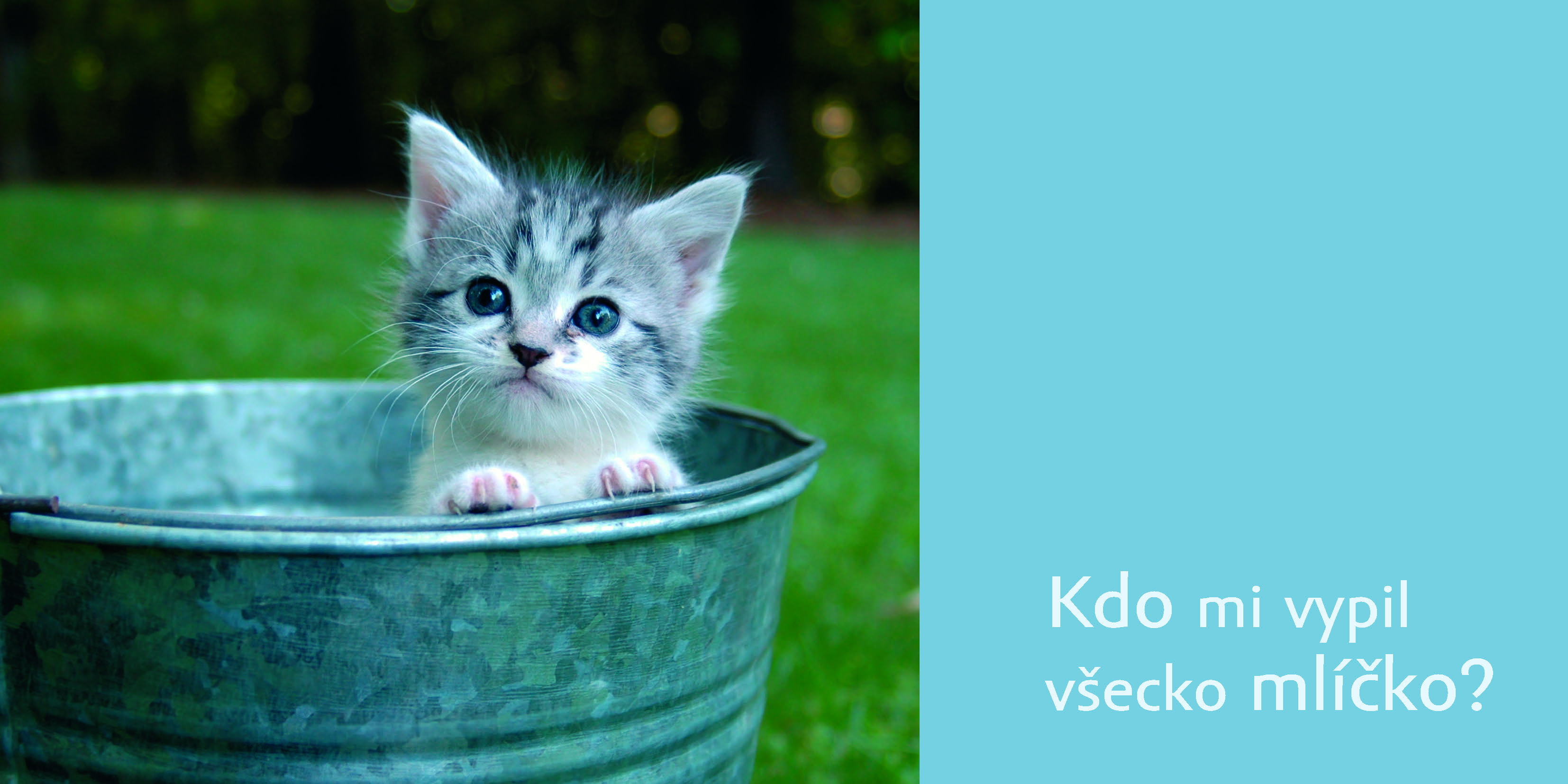 Máme rádi koťata