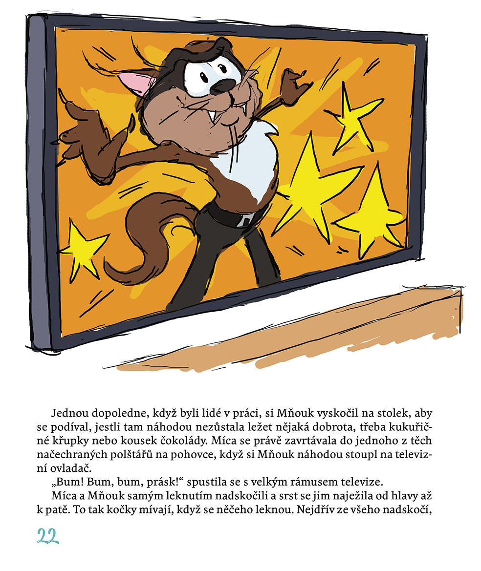 Míca a Mňouk 